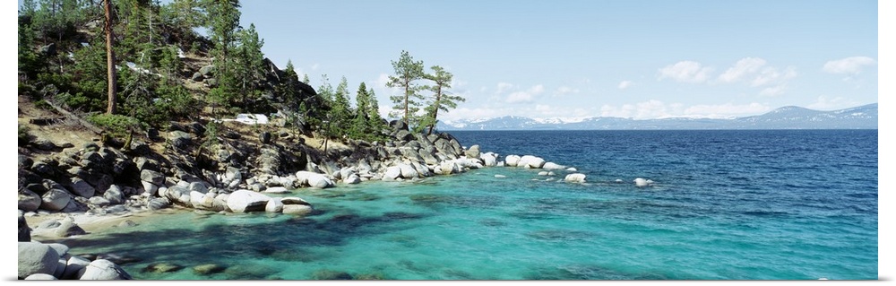 Panoramic photograph on a large wall hanging of the rocky North Shore of Lake Tahoe, the hillside covered in trees, surrou...