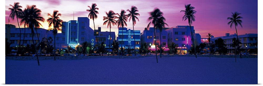 Oversized, landscape photograph of palm trees along Miami Beach, the lit buildings along Ocean Drive in the background, be...