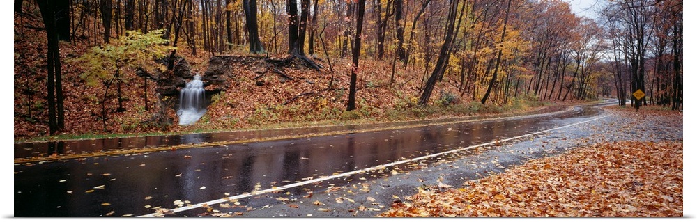 Panoramic image of a wet, leaf littered road with fall colored trees and a small waterfall at the end of a creek.