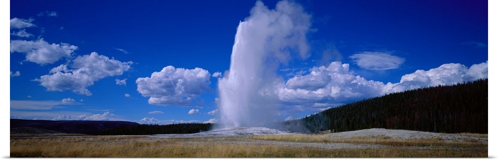 Panoramic photo of a geyser shooting out steam at Yellowstone.