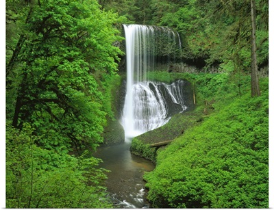 Oregon, Silver Falls State Park, Waterfall in the tropical rainforest