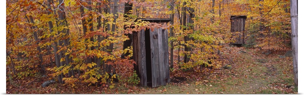 Outhouses in a forest, Adirondack Mountains, New York State
