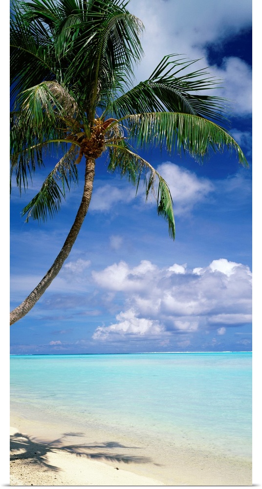 This vertical photograph of a tropical beach is dominated by a palm tree while clouds gather on the horizon.