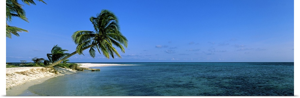Tropical scene of the ocean at Laughing Bird Caye in Belize.