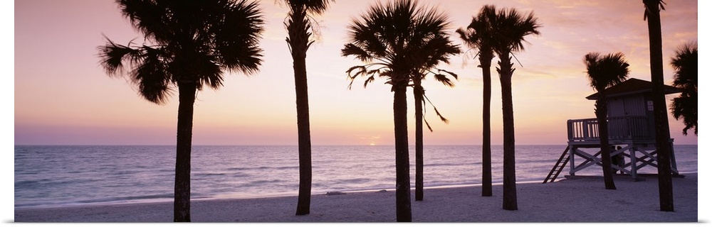 Panoramic photograph taken of palm trees on a beach with the sun just setting below the ocean horizon in the distance.