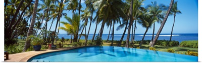 Palm trees near a swimming pool Maui Hawaii