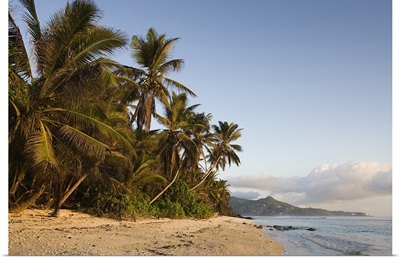Palm trees on the beach, Anse Marie Louise Beach, Mahe Island, Seychelles