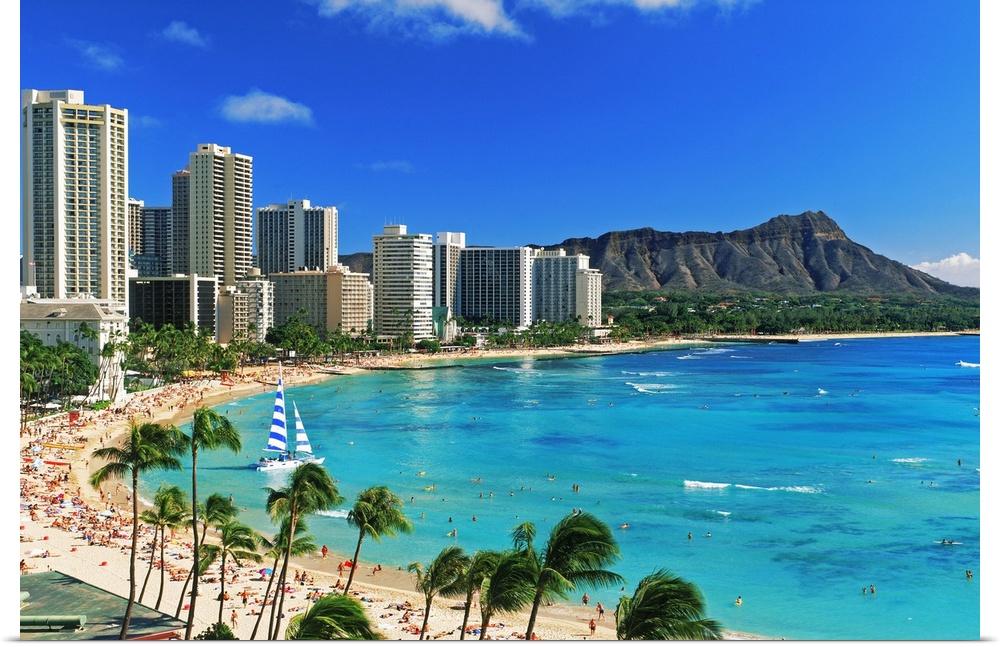 Palm trees on the beach, Diamond Head, Waikiki Beach, Oahu, Honolulu, Hawaii, USA