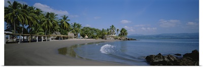 Palm trees on the beach, San Blas, Mexico