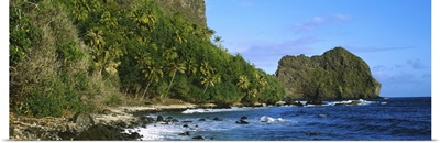 Palm trees on the coast, Marquesas Islands, Tahiti, French Polynesia