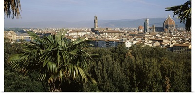 Palm trees & Ponte Vecchio Florence Italy