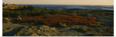 Panoramic view of a landscape, Acadia National Park, Hancock County, Maine