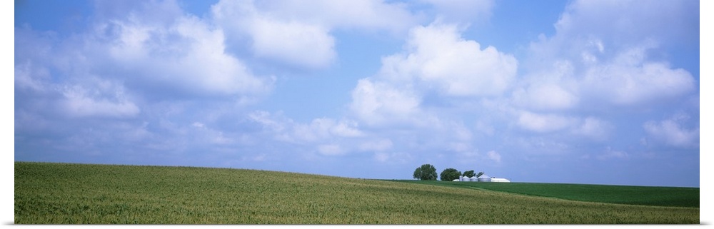 Panoramic view of a landscape, Marshall County, Iowa