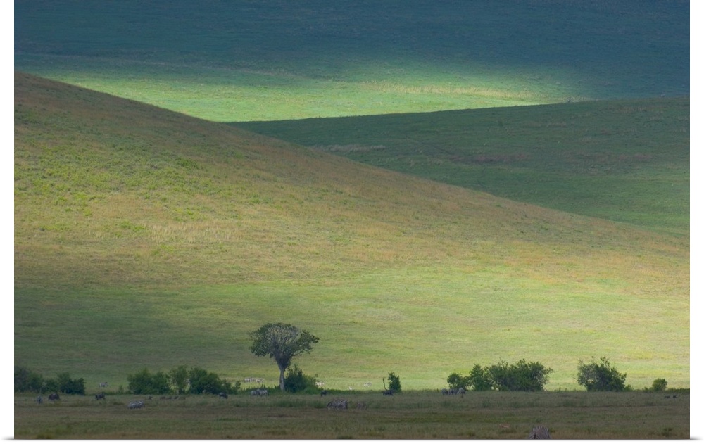 Panoramic view of hill, Ngorongoro Crater, Arusha Region, Tanzania