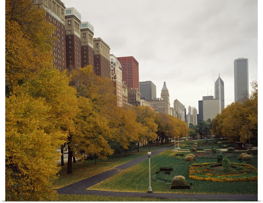 A Chicago park in autumn is photographed with buildings just to the left and behind it in the distance.