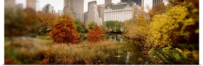 Park with buildings in the background Central Park Manhattan New York City New York State