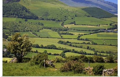 Pastoral Scene Below the Comeragh Mountains, County Waterford, Ireland