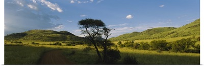 Path on a landscape, Zimbabwe