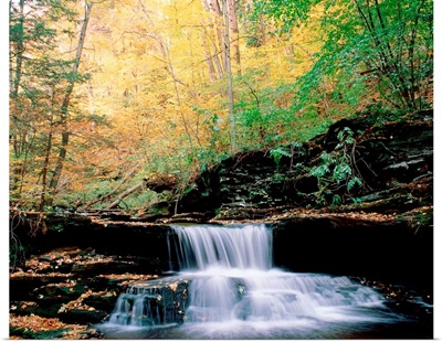 Pennsylvania, Benton, Ricketts Glen State Park, Waterfalls at Glen Natural Area