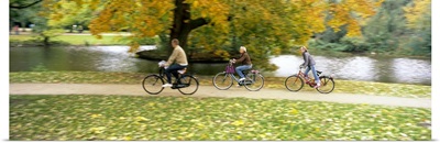 People riding bicycles in a park, Vondelpark, Amsterdam, Netherlands