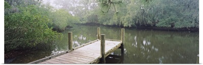 Pier extending into a river, South Creek, Oscar Scherer State Park, Osprey, Florida