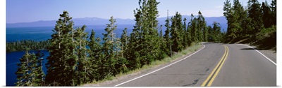 Pine trees on both sides of Highway 89, Lake Tahoe, California