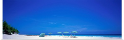 Pink Sand Beach Harbour Island Bahamas