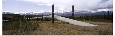Pipeline passing through a landscape, Trans-Alaskan Pipeline, Alaska