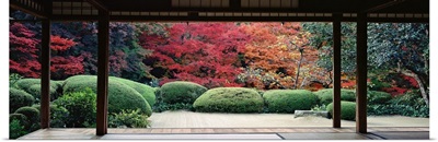 Plants and maple trees viewed from a temple, Shisendo Temple, Kyoto City, Kyoto Prefecture, Japan