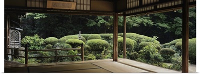 Plants and trees viewed from a temple, Shisendo Temple, Kyoto City, Kyoto Prefecture, Japan