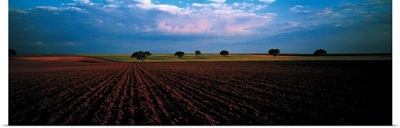 Plowed Fields Castile & Leon Spain