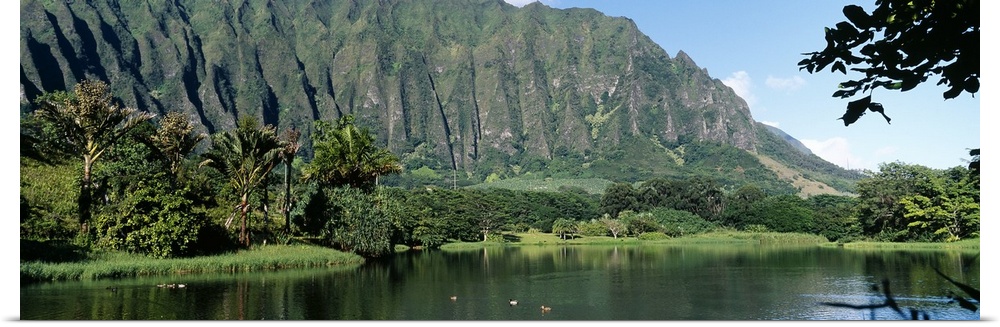 Mountains overlooking ducks in a lagoon at the Hoomaluhia Botanical Garden in Kaneohe, Hawaii.