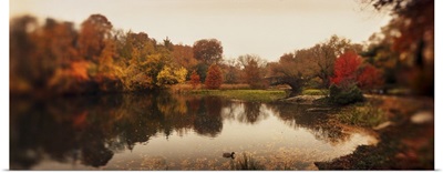 Pond in a park Central Park Manhattan New York City New York State