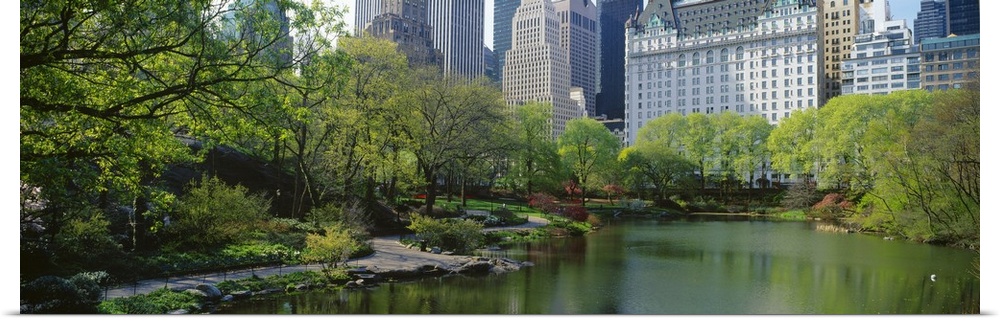 A large pond in Central Park is photographed with thick foliage lining the left side and buildings pictured in the backgro...