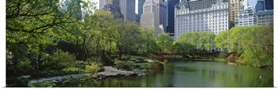 Pond in a park, Central Park South, Central Park, Manhattan, New York City, New York State