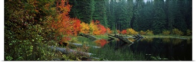 Pond in forest in Autumn