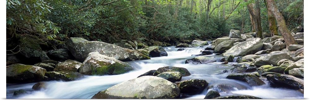 Wide angle photograph of rocky Porter creek rushing through a dense forest of greenery and trees in Smoky Mountains Nation...