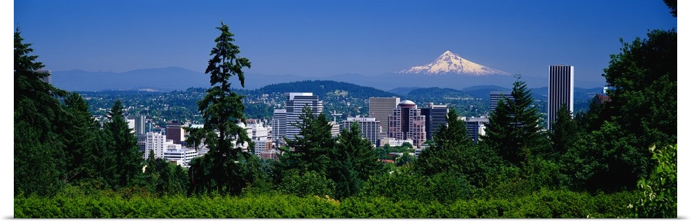 Landscape, panoramic photograph looking down at the Portland skyline from a tree lined hillside.