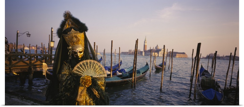 Portrait of a person dressed in a masquerade costume, Doges Palace, Venice, Italy