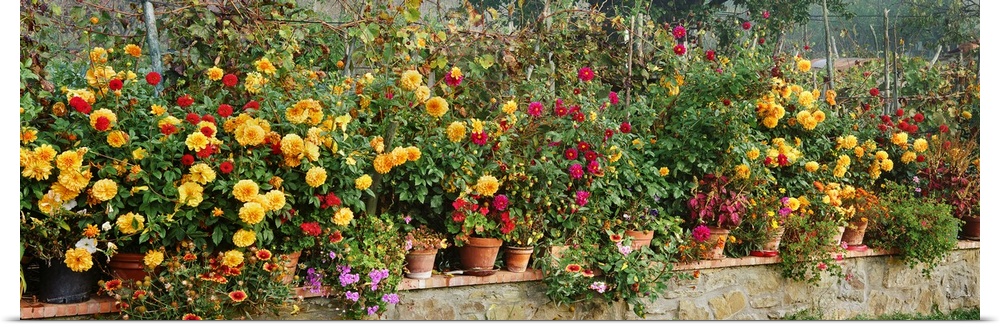 Panoramic photograph displays a row of colorful flowers in an assortment of pots sitting on top of a brick ledge.