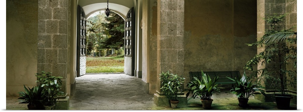Panoramic photograph of arched entryway lined with house plants.