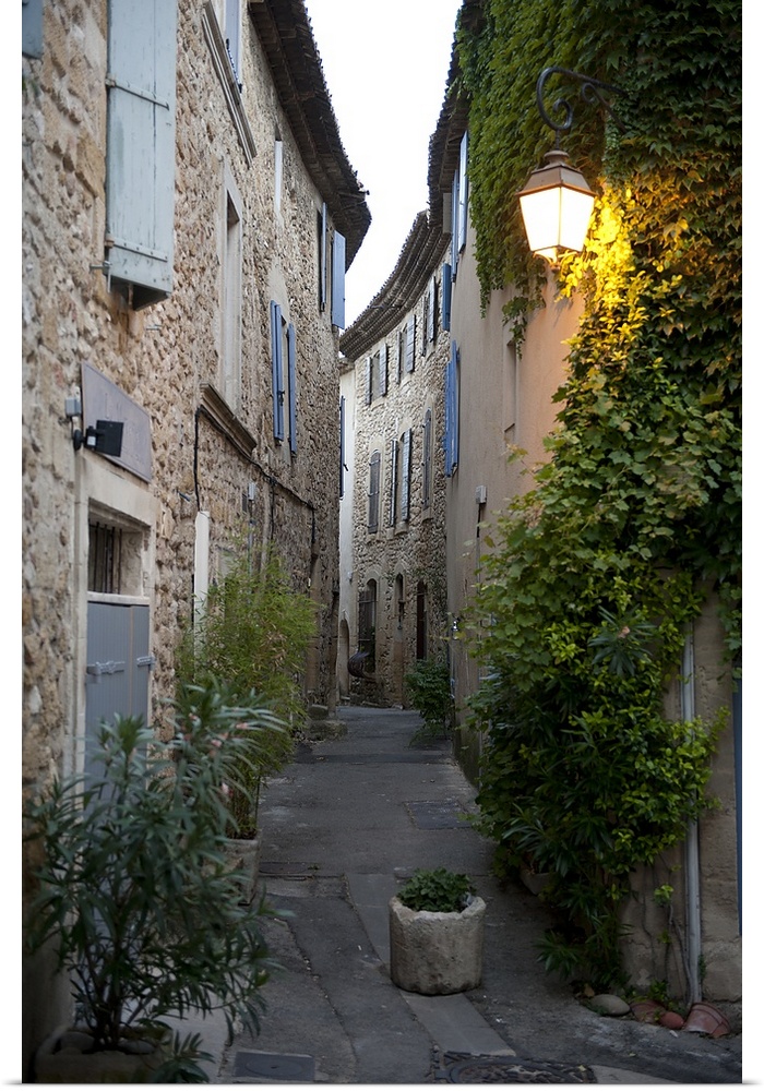 Potted plants on the street, Luberon, Vaucluse, France