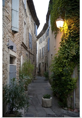 Potted plants on the street, Luberon, Vaucluse, France