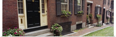 Potted plants outside a house, Acorn Street, Beacon Hill, Boston, Massachusetts