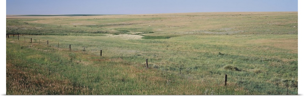 Prairie grass on a landscape, Kearney County, Nebraska