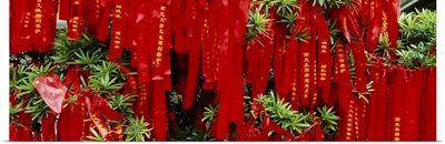 Prayer ribbons tied to a tree, Jade Buddha Temple, Shanghai, China