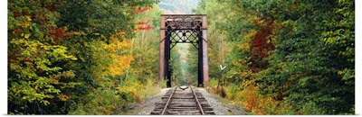 Railroad track passing through a forest, White Mountain National Forest, New Hampshire