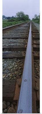 Railroad track passing through a landscape, Eureka, California