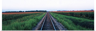 Railroad Tracks Stelle IL