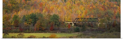 Railway bridge in a forest, Central Bridge, New York State